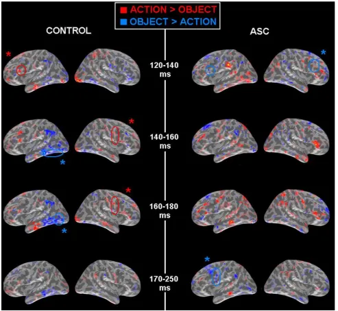 Fig. 3 SOURCE estimations for action and object words for thecontrol and ASC groups (left and right respectively) during each ofthe time-windows analysed for category-speciﬁcity