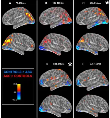 Fig. 2 SOURCE estimations reﬂect contrasts between the twogroups: areas of greater activity for control than ASC participantsin blue, areas of greater activity for ASC than control participants inred