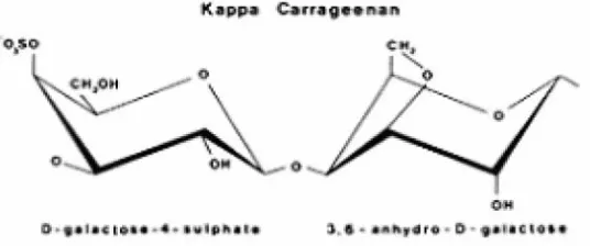 Gambar 3. Struktur kimia kappa karaginan  