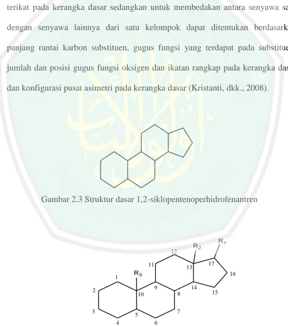 Gambar 2.3 Struktur dasar 1,2-siklopentenoperhidrofenantren
