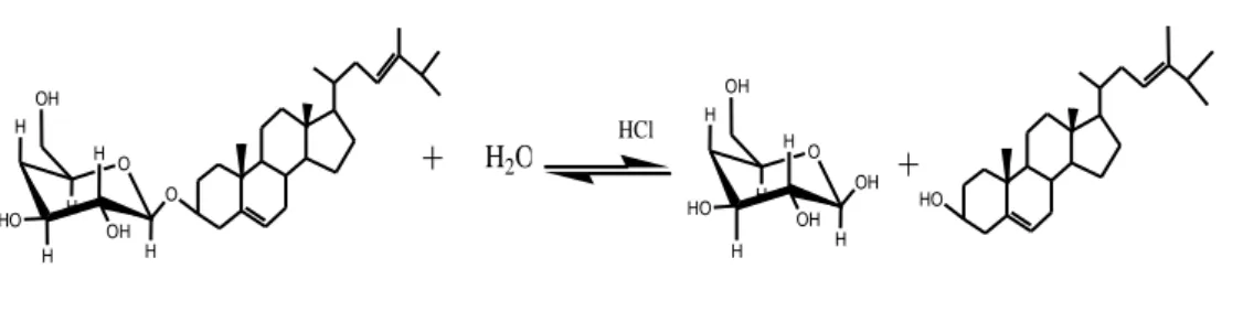 Gambar 4.2 Dugaan Reaksi hidrolisis ikatan O-glikosida (Imamah, dkk, 2015) 