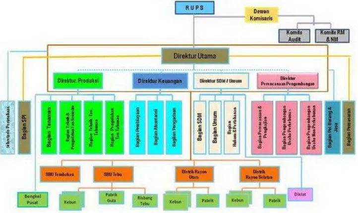 Tabel 2.1 Struktur Organisasi PT. Perkebunan Nusantara II (Persero) 