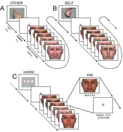 Figure 1.Time course of stimulus presentation during the scanning session. Subjects were instructed to empathize with the person presentedon the screen and to (A) identify the emotional state observed in the face (other-task) or (B) evaluate their own emot