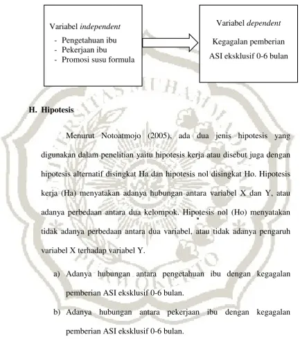 Gambar 2.2. Kerangka konsep 