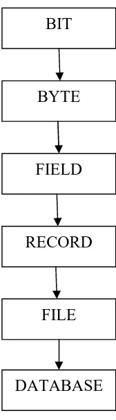 Gambar 2.1 Hierarki Data