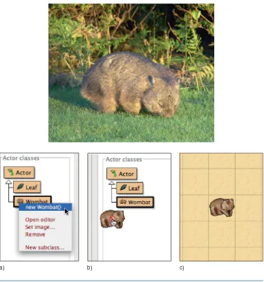 Figure 1.2A wombat in