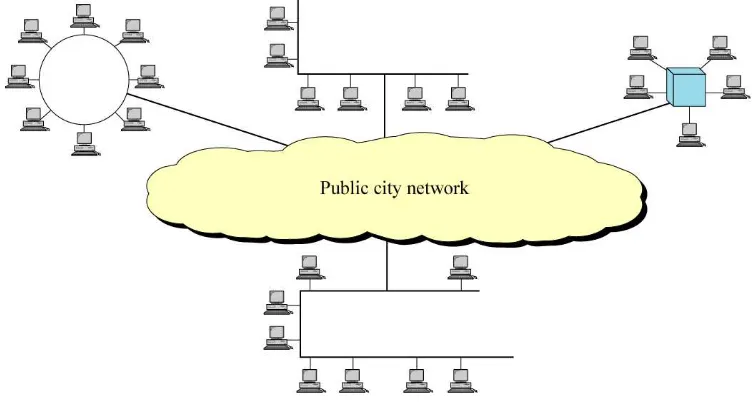 Gambar 1.3. Metropolitan Area Network 