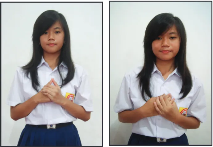 Gambar  1.7  Sikap Bao Xin Ba De 