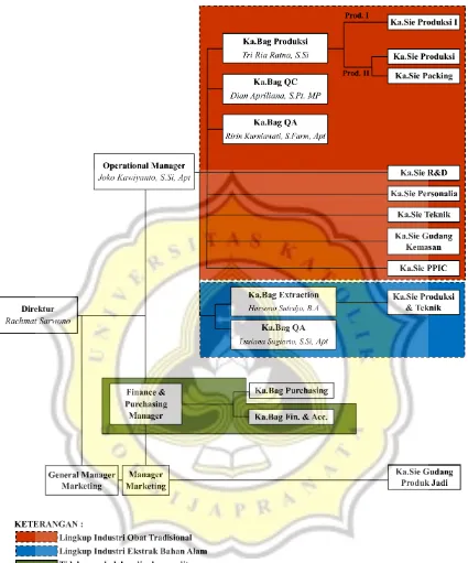 Gambar 1. Struktur Organisasi PT Industri Jamu Borobudur 