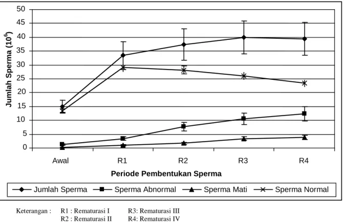 Gambar 1.  Rataan  jumlah  sperma,  sperma  normal,  sperma  abnormal  dan  sperma  mati  per  spermatofor udang vaname Litopenaeus vannamei pada beberapa periode rematurasi