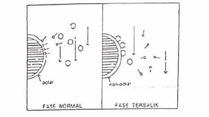 Gambar 5. Mekanisme pemisahan kromatografi partisi (Munson, 1984) 