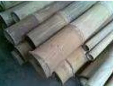 Gambar 2.11.Bambu Wulung 