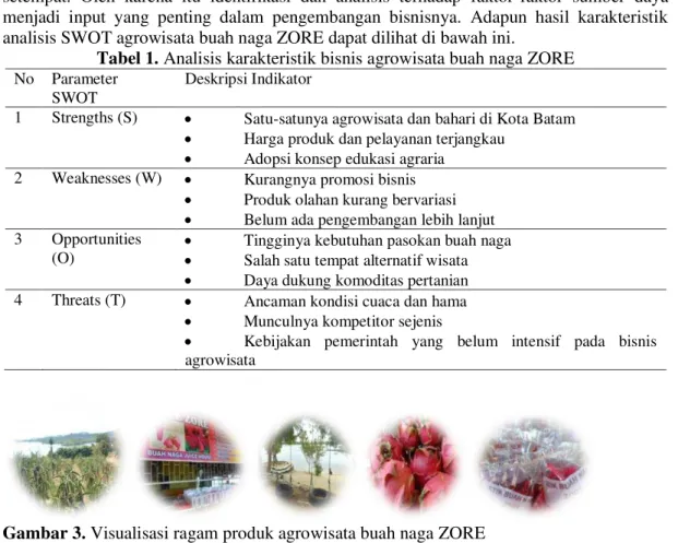 Tabel 1. Analisis karakteristik bisnis agrowisata buah naga ZORE  No  Parameter 