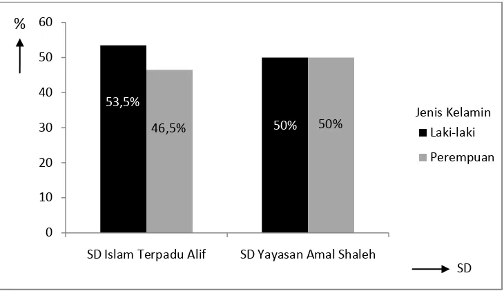Gambar 1. Persentase Distribusi Responden Berdasarkan Jenis Kelamin pada  SD Islam Terpadu Alif dan SD Yayasan Amal Shaleh  