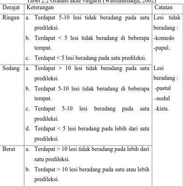 Tabel 2.2 Gradasi akne vulgaris (Wasitaatmadja, 2002)  Keterangan Catatan 