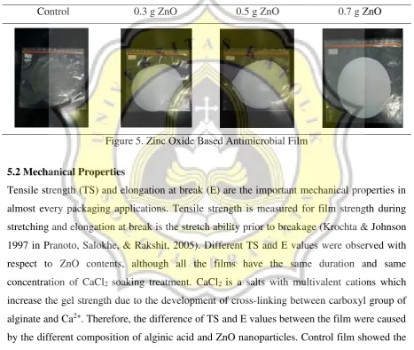 Figure 5. Zinc Oxide Based Antimicrobial Film 