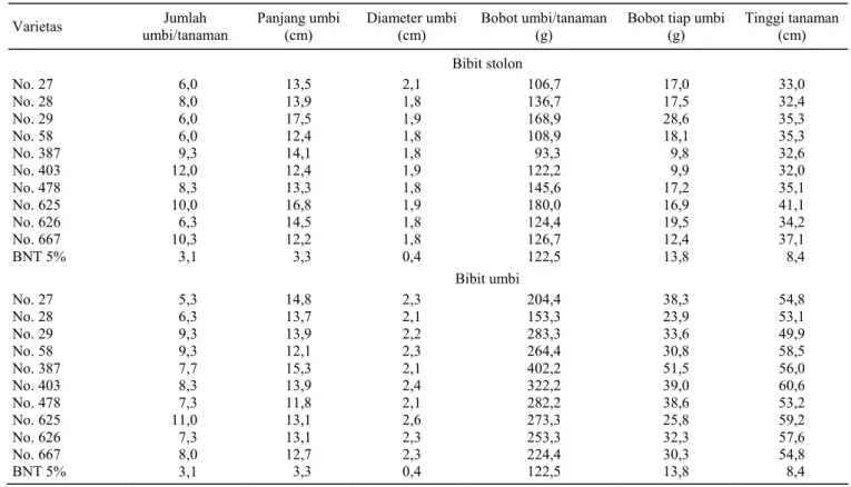 Tabel 3.  Jumlah umbi/tanaman, panjang dan diamter umbi, bobot umbi/tanaman dan bobot tiap umbi pada pertanaman yang berasal dari  bibit stolon dan umbi