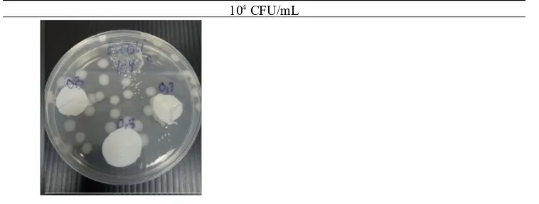 Figure 5. Zone of Inhibition of Escherichia coli with Initial Number of 10  CFU/mL4
