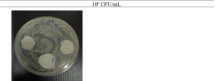 Figure 11. Zone of Inhibition of Salmonella spp. with Initial Number of 10  CFU/mL6