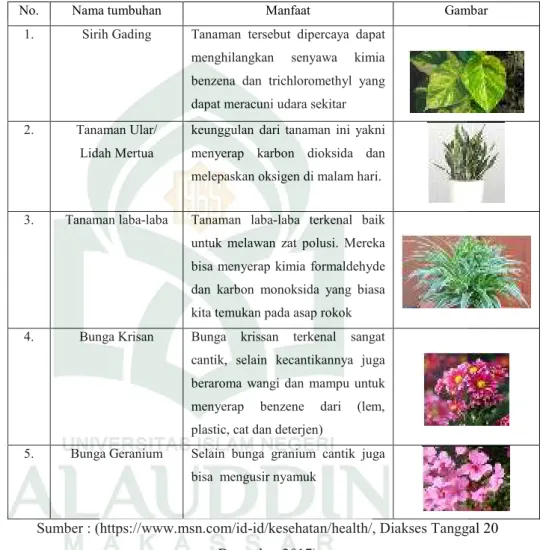 Tabel 3.1 Tanaman Hias 