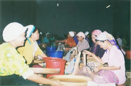 Gambar 2. Kegiatan nggiling dan mbatil para buruh perempuan pabrik rokok Janur Kuning  di Desa Piji Kecamatan Dawe Kabupaten Kudus 