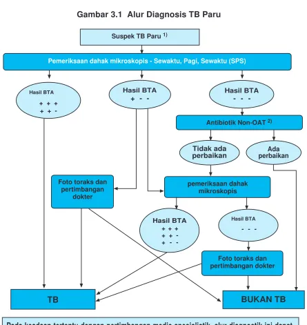 Gambar 3.1  Alur Diagnosis TB Paru