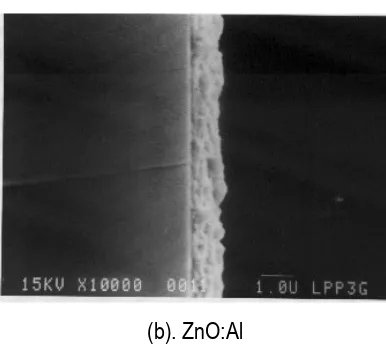 Gambar 7.  Hasil foto SEM struktur mikro, tampang lintang, (a). ketebalan lapisan 1,5 µm, (b)