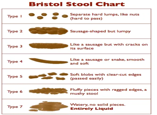 Gambar 2. Bristol Stool Chart (Heaton dan Lewys, 1997) 