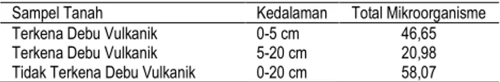 Tabel  2.  Hasil  Perhitungan  Total  Mikroorganisme  (x10 8 )  SPK/ml  