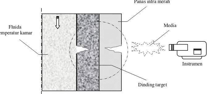 Gambar 4. Ilustrasi pemeriksaan dengan infrared thermography 