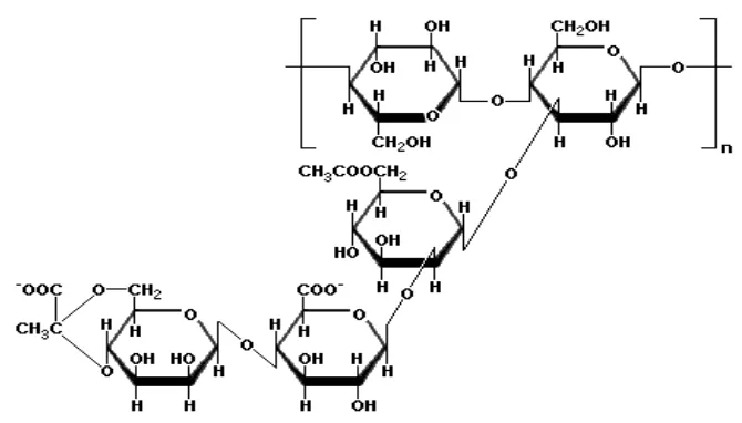 Gambar 1. Struktur kimia gum arab (Williams dan Phillips, 2004)  