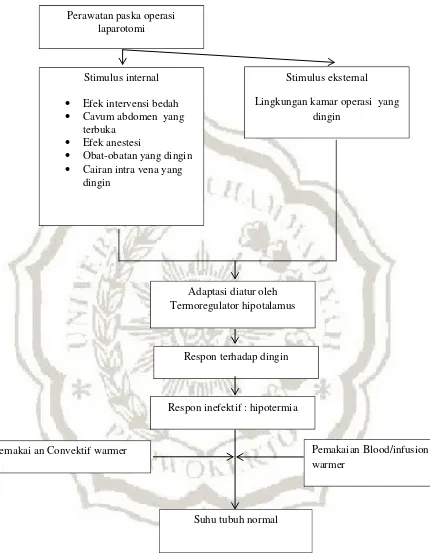 Gambar 2.1 kerangka teori, keperawatan medical bedah brunner & Sudart, Model 