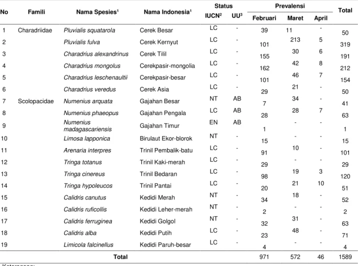 Tabel 1. Daftar spesies, status keterancaman dan perlindungan burung pantai 