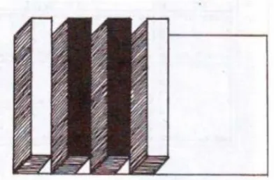 Gambar 8. Perkembangan Vertikal  (Sumber: Zahnd 1999 dalam Budiharjo 2011) 