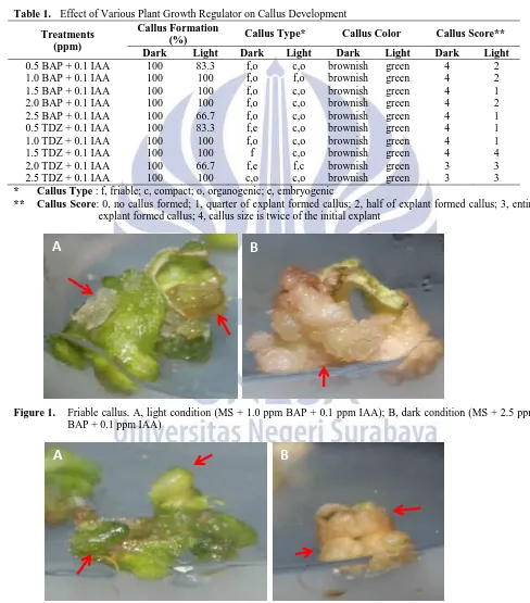 Table 1. Effect of Various Plant Growth Regulator on Callus Development Callus Formation 