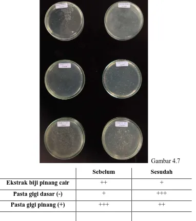 Tabel 4.1; Gambar 4.7 Tabel dan gambar  perngurangan pertumbuhan bakteri sebelum 