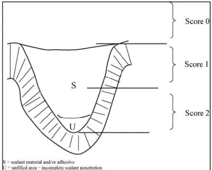 Gambar 7. analisa gambar dari potongan fissure untuk scoring dari penetrasi 