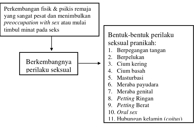 Gambar 2.1 Kerangka Teori Penelitian Sumber: (PKBI, 2016; Mighwar, 2006; Sarwono, 2010; Irawati, 2002; Nurhayati, 2011) 