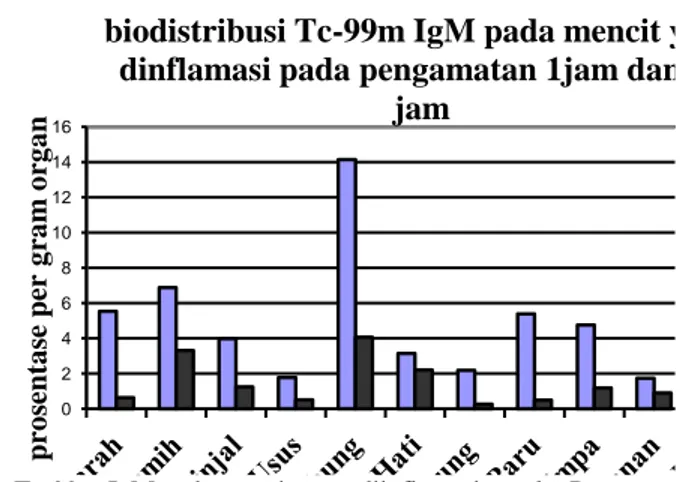 Gambar 11. Biodistribusi  Tc-99m-IgM pada mencit yang diinflamasi untuk   Pengamatan 1 jam dan 24 jam  [15].