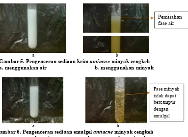 Gambar 5. Pengenceran sediaan krim antiacne minyak cengkeh