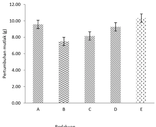 Gambar 1. Pertumbuhan berat mutlak menunjukan perbedaan nyata antar perlakuan selama pemeliharaan ikan nila merah (Oreochromis niloticus) 