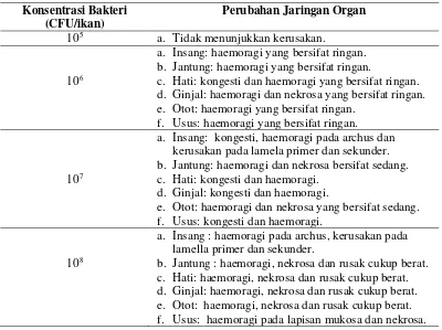 Tabel 2. Perubahan jaringan organ ikan komet (Carrasius auratus) yang terinfeksi Aeromonas hydrophila pada tingkat konsentrasi yang berbeda