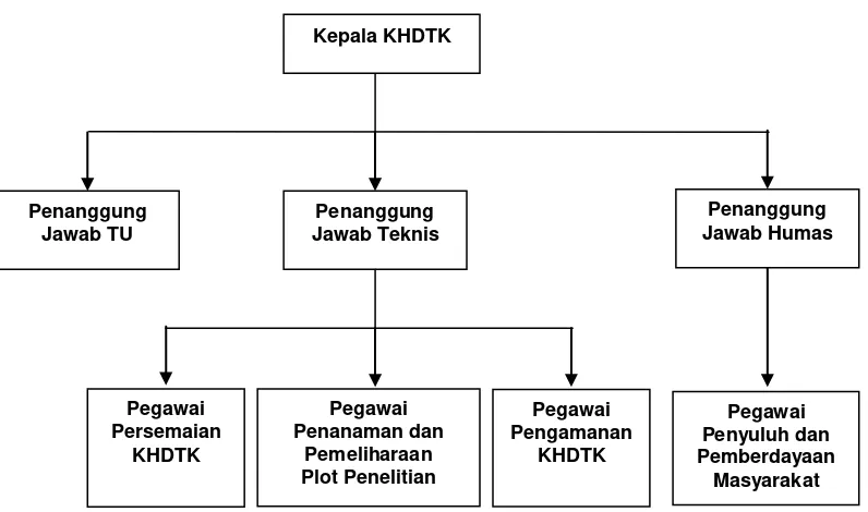 Gambar 6. Struktur Pengelola KHDTK Hutan Penelitian Samboja 