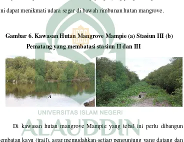 Gambar 6. Kawasan Hutan Mangrove Mampie (a) Stasiun III (b) 