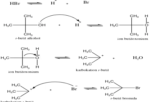 Gambar 2. Contoh Mekanisme Reaksi S N 1 pada t-Butil Bromida 