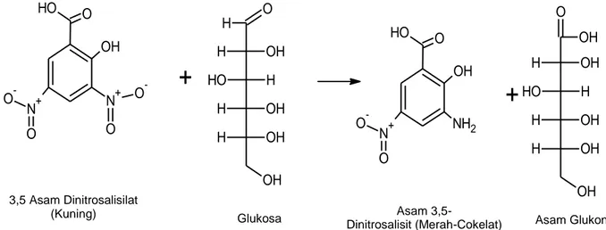 Gambar 8 Proses reaksi perubahan warna pada pereaksi asam 3,5-dinitrosalisilat (Miller 1959)