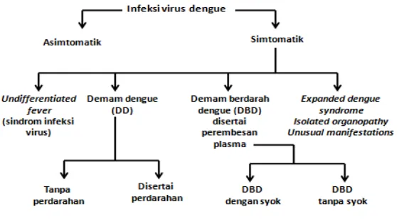 Gambar 1. Skema kriteria diagnosis infeksi dengue menurut WHO 2011                                                 Sumber:World Health Organization-South East Asia Regional Office