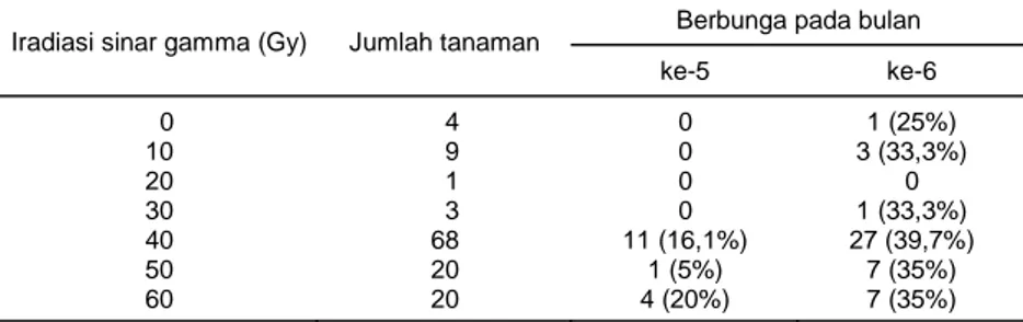 Tabel 5.  Umur berbunga pada berbagai genotipe 5 dan 6 bulan setelah tanam. 