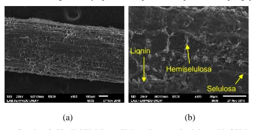 Gambar 8. Hasil SEM Serat Kelapa Dengan Perlakuan NaOH 2,5 %  (a)  Perbesaran 100x, (b) Perbesaran 500x 