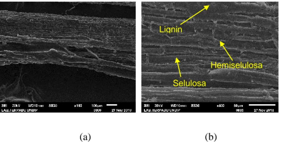 Gambar 10. Hasil SEM Serat Kelapa Dengan Perlakuan NaOH 7,5 %  (a) Perbesaran 100x, (b) Perbesaran 500x 